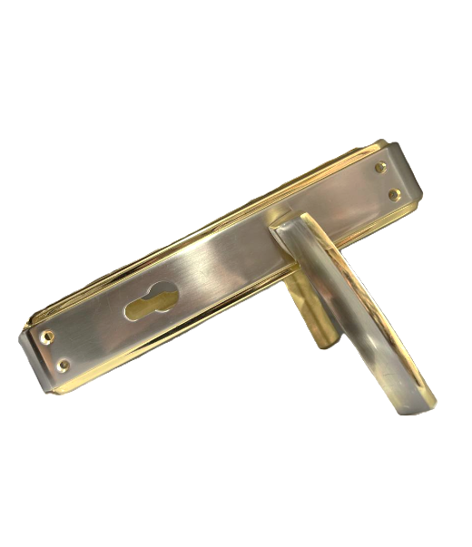 Դռան բռնակ BERTOLI (AL803-496)