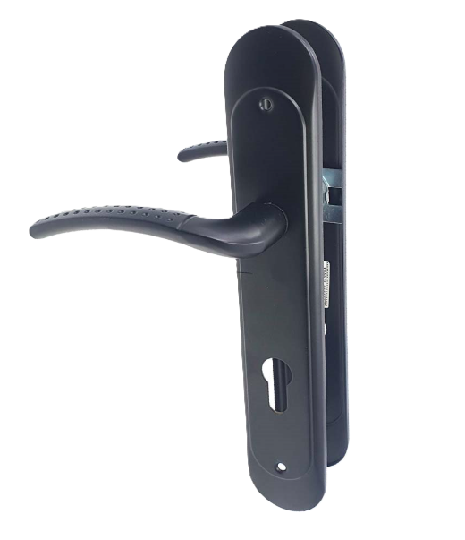 Դռան բռնակ BERTOLI (AL803-496)