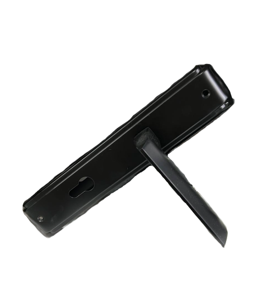 Դռան բռնակ BERTOLI (AL803-496)